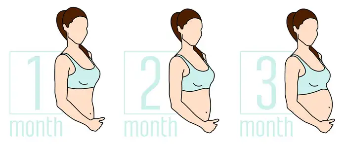 Everything you need to know about the first trimester (weeks 1 to 12)