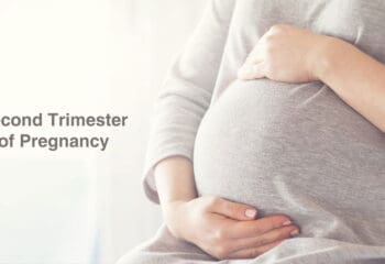 Your Guide To Second Trimester Of Pregnancy