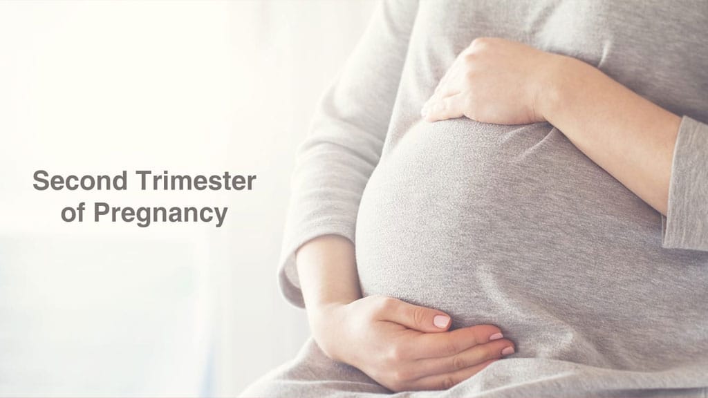 Second Trimester Pregnancy & Symptoms: The Ultimate Guide • Kopa