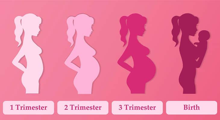 Your Guide To The - Third Trimester Of Pregnancy